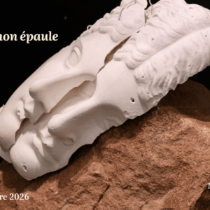 exposition de léo fourdrinier 2026